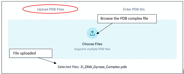 Upload PDB file