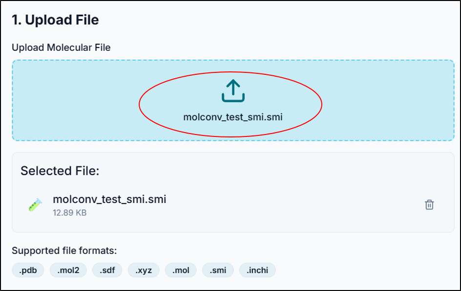 Upload file and select options