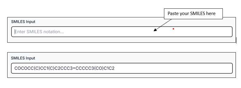 Paste SMILES input tab